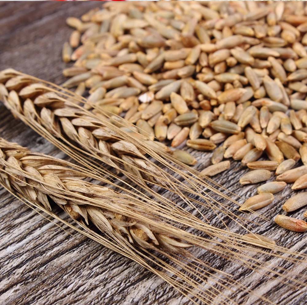 Instant Rye Cereal Rye